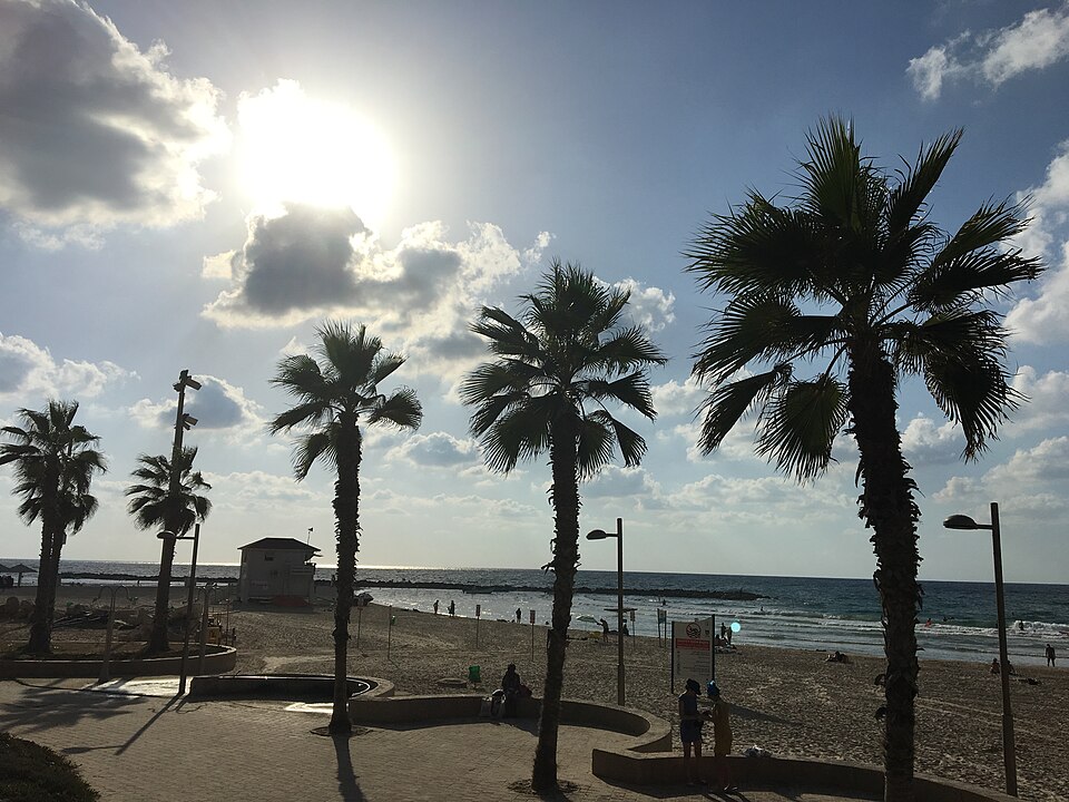 Mediterranean
