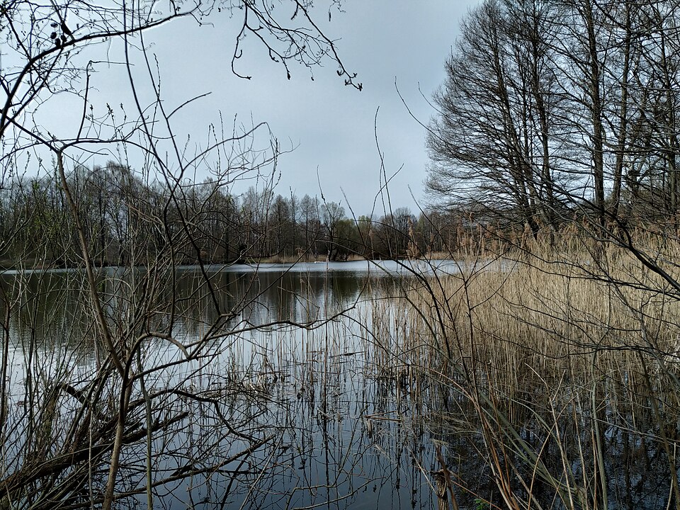 Kiessee