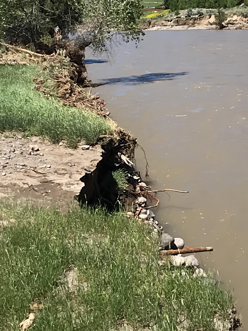 Yellowstone River at Corwin Springs, Montana