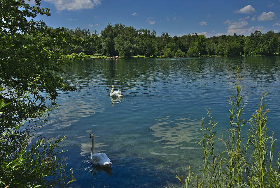 Feldmochinger See