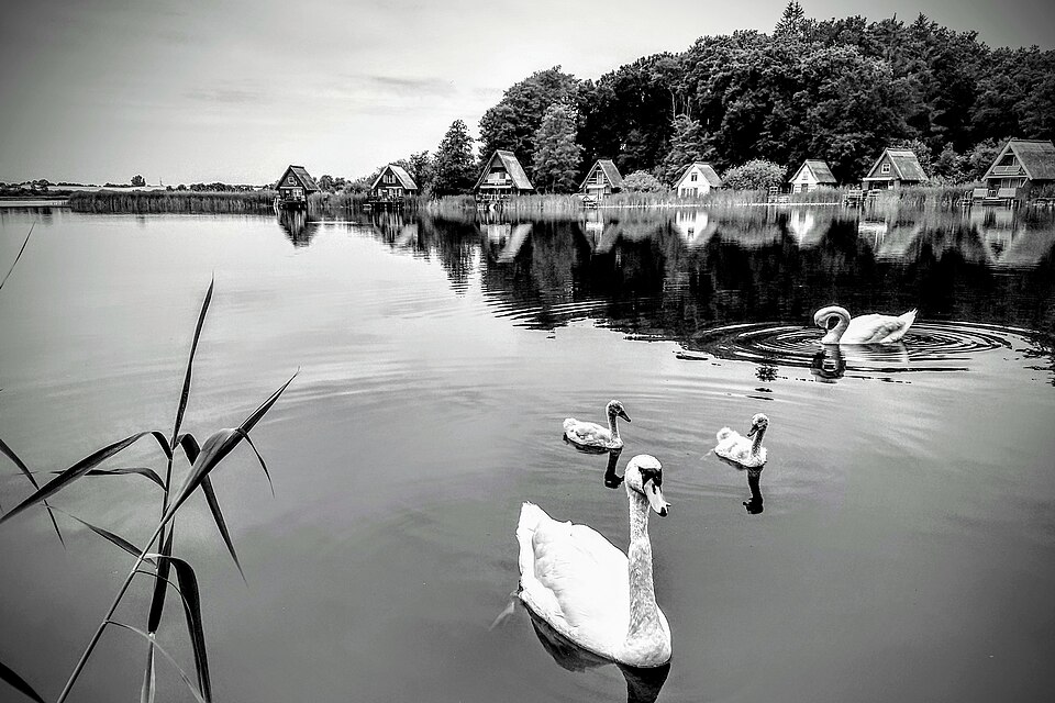 Schiller See