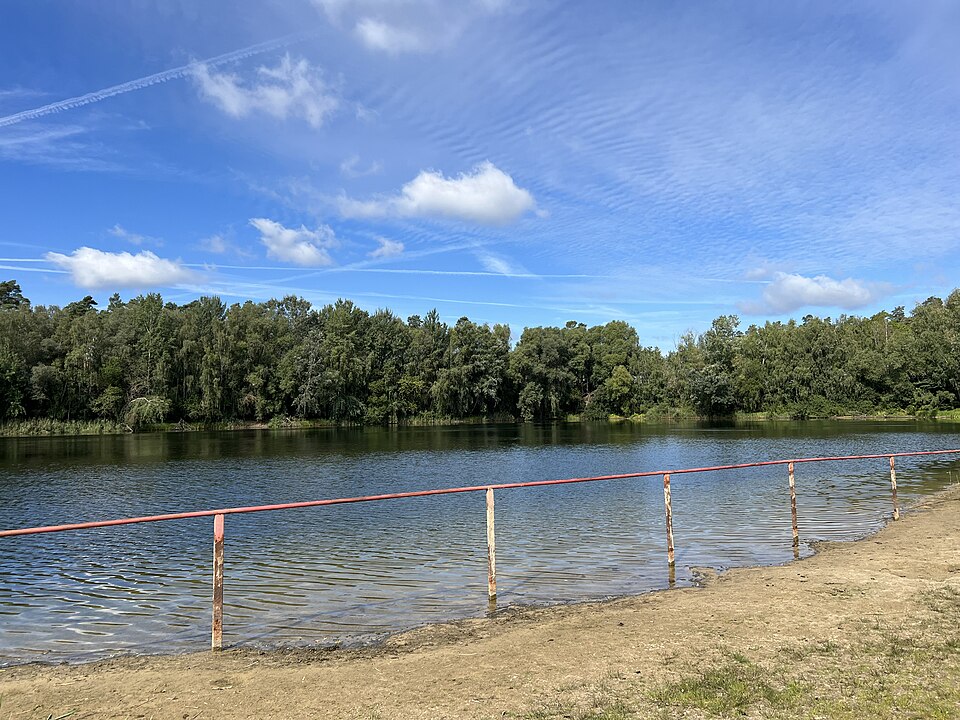 Waldsee