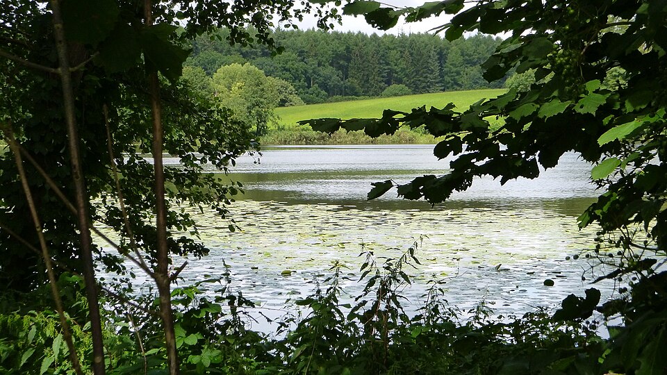 Badestelle Enkendorf am Pohlsee