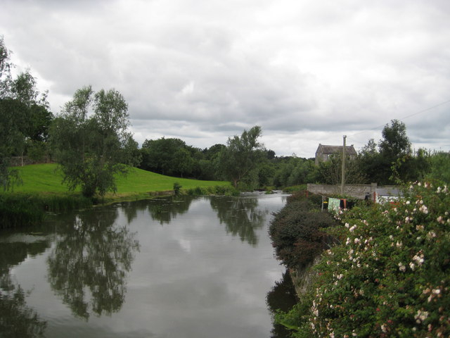 Maigue