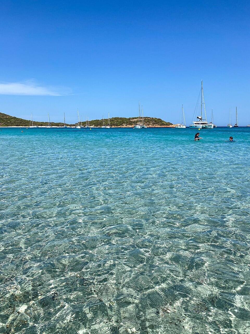 Méditerranée