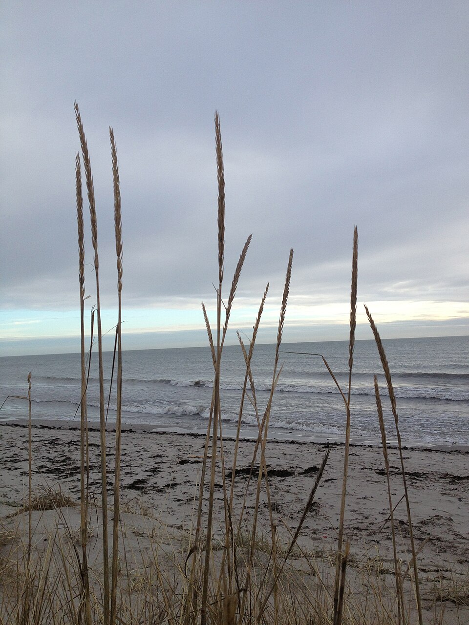 Baltic Sea