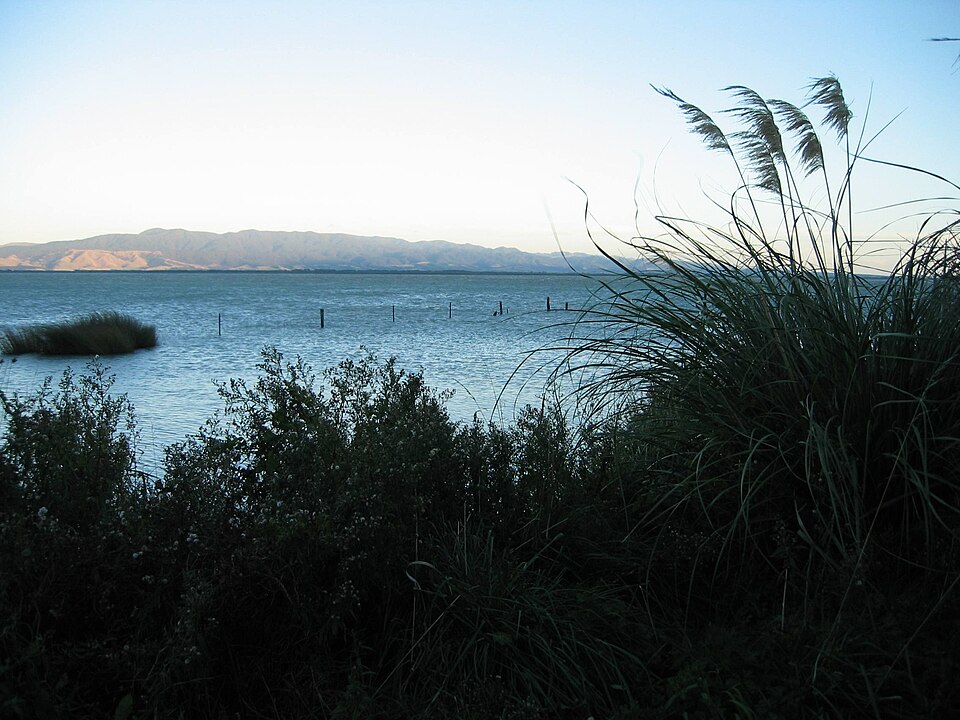Lake Wairarapa Barrage Argonaut