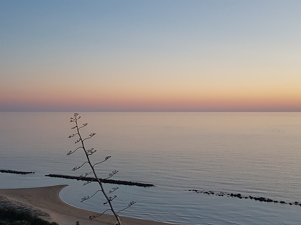 Mediterranean