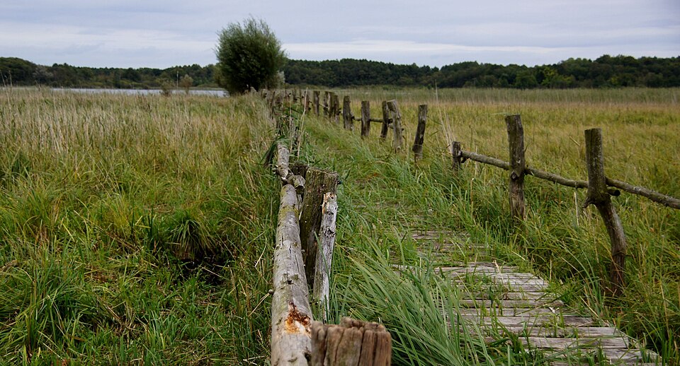 Müritz