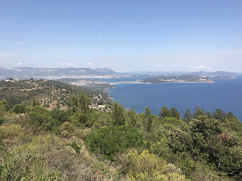 Mediterranean
