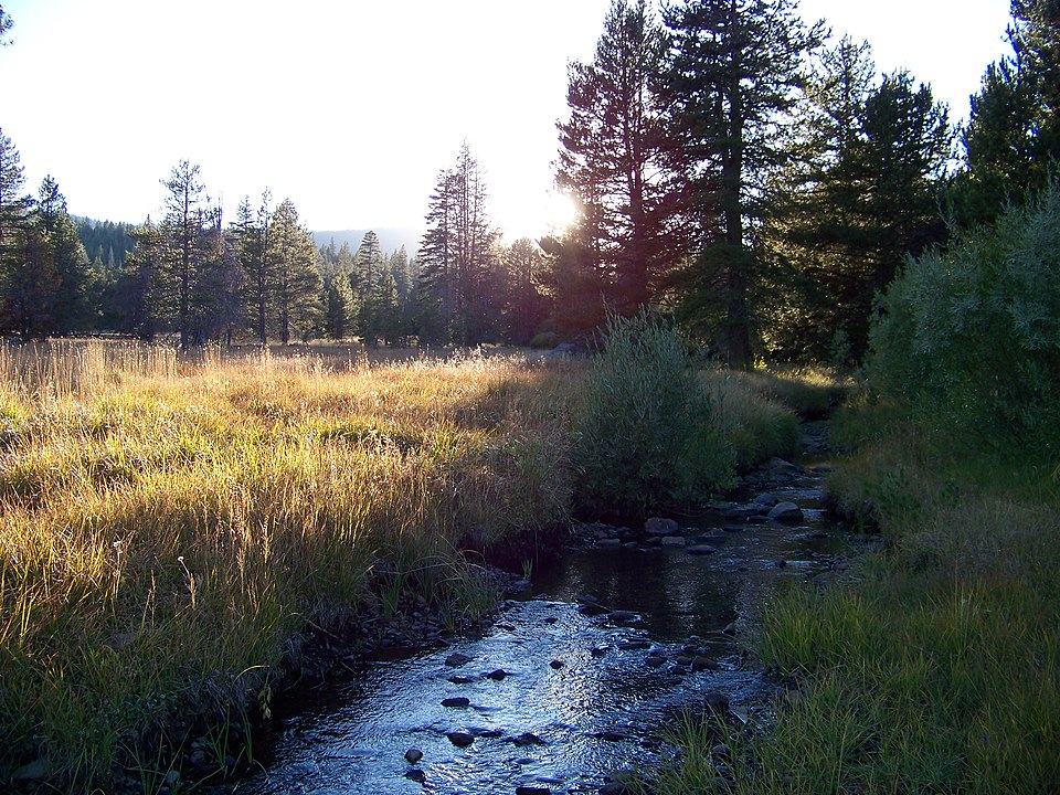 Sagehen C near Truckee, California