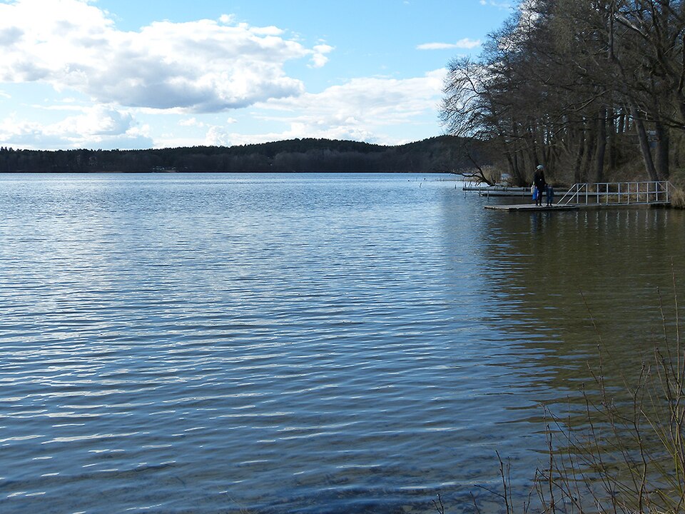 Wurlsee