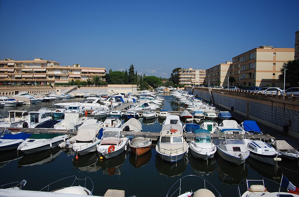 Mediterranean