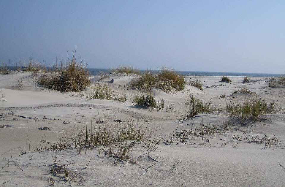 Baltic Sea