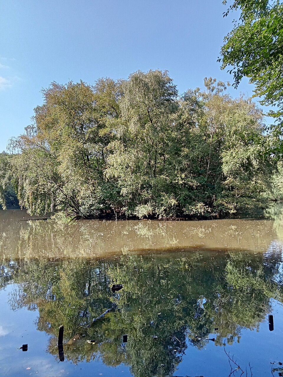 Naturbad Kiwittsmoor