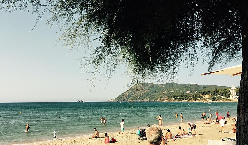 Méditerranée