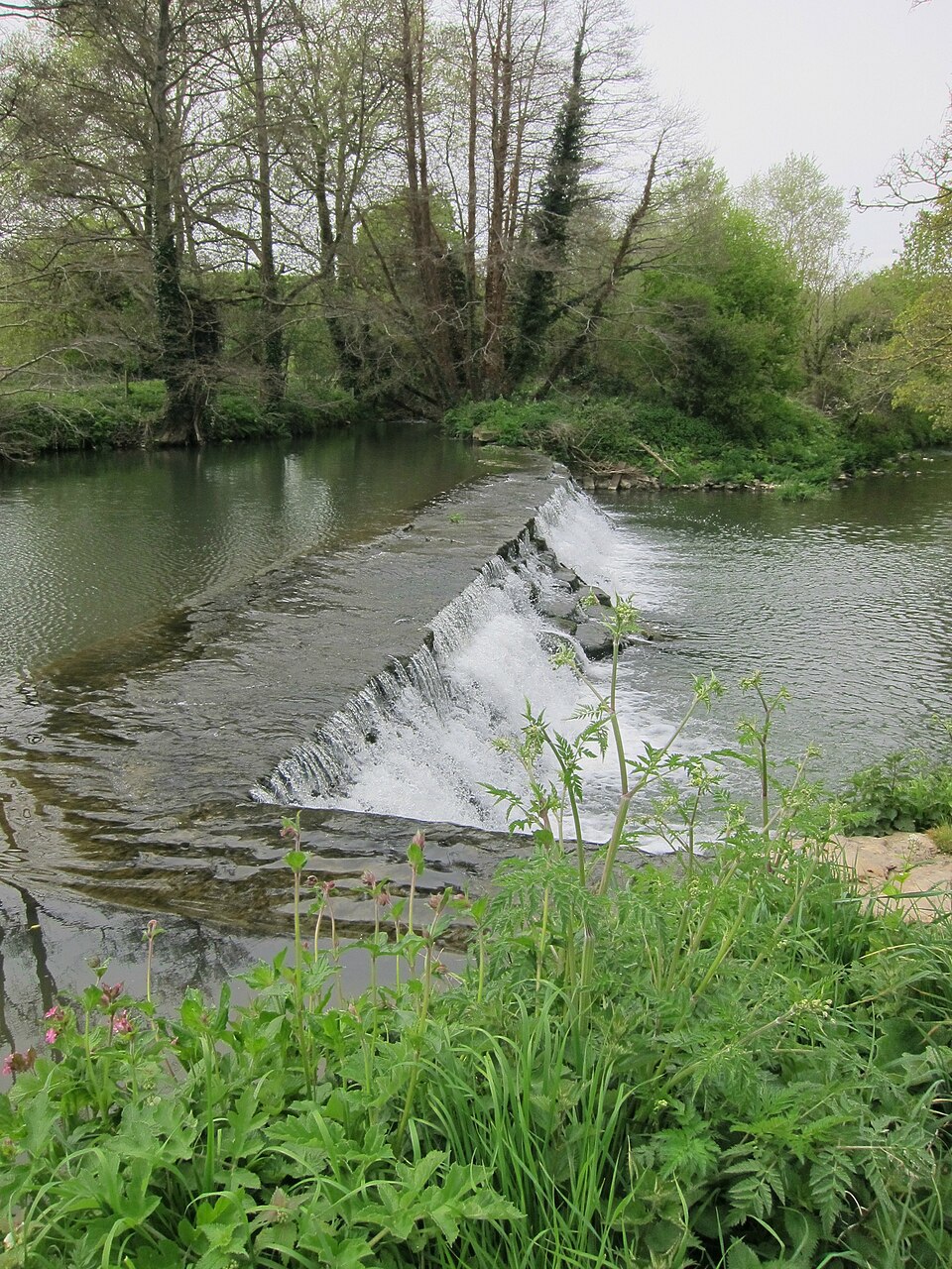 Frome