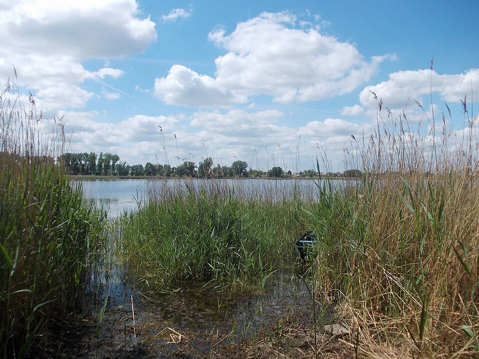 Strandbad Gerlebogk