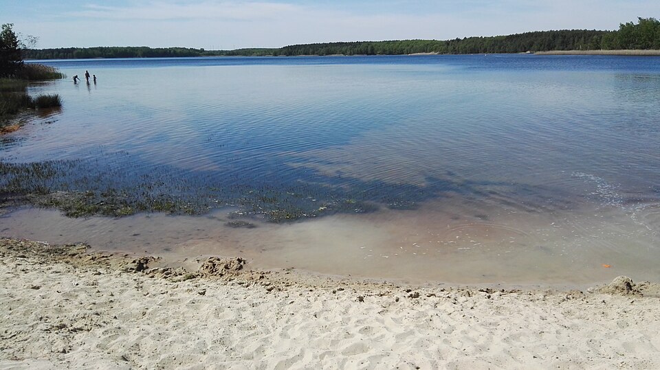 Senftenberger See