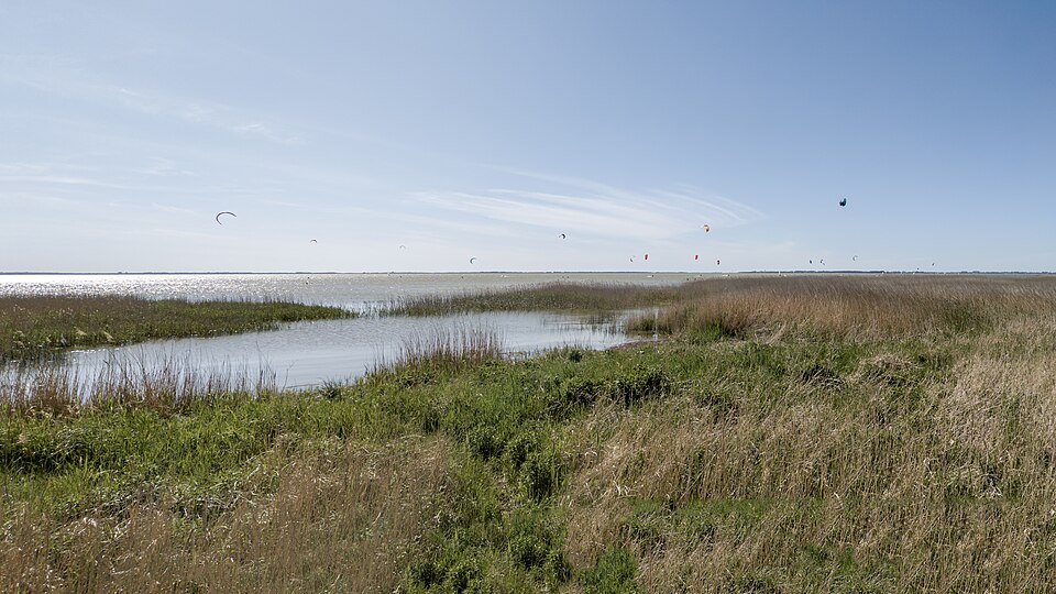 Saaler Bodden
