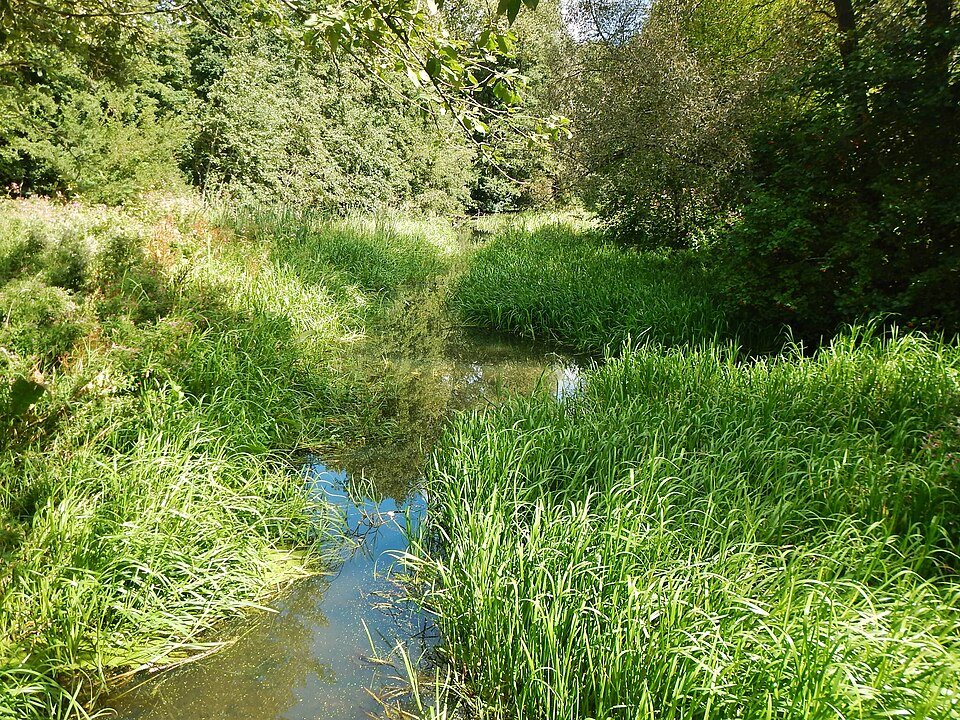 Wakenitz