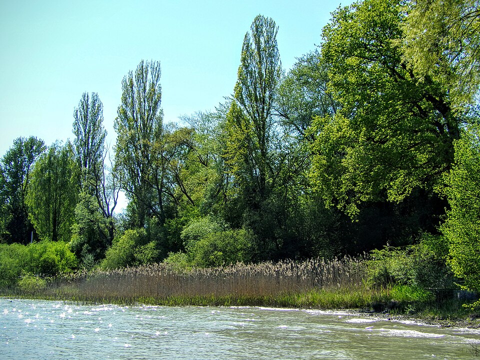 Lake Constance