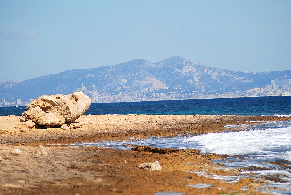 Mediterranean