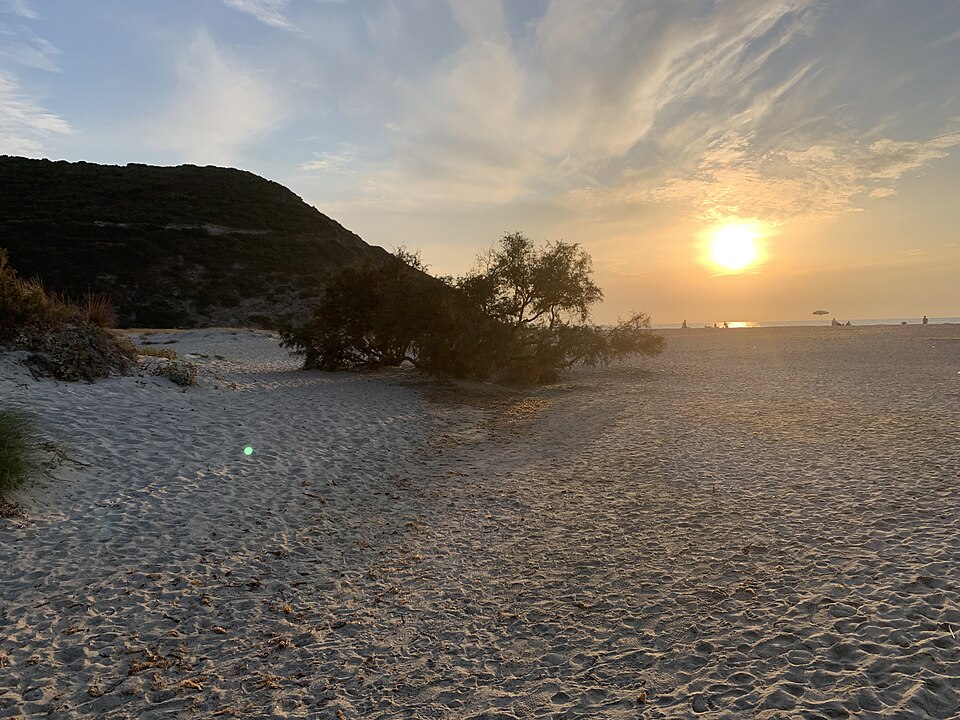 Mediterranean