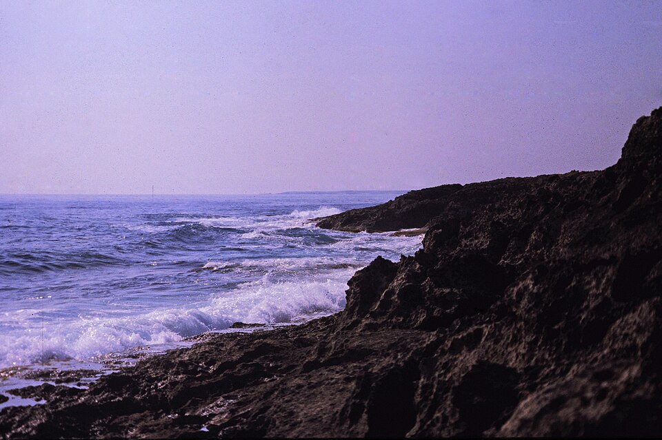 Mediterranean