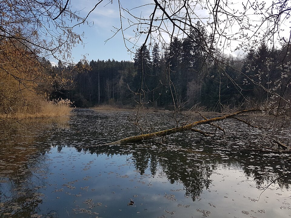Freibad Heidelberg