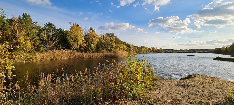 Waldbad Campingplatz Wischer