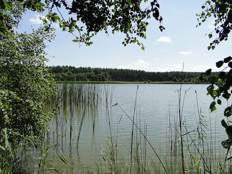 Langsee