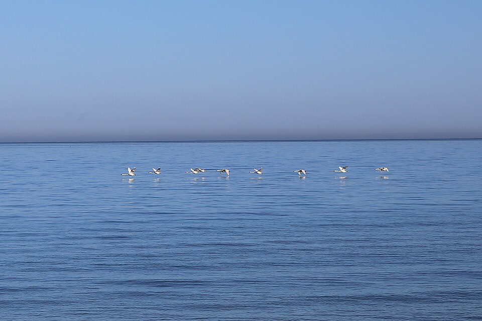 Ostsee