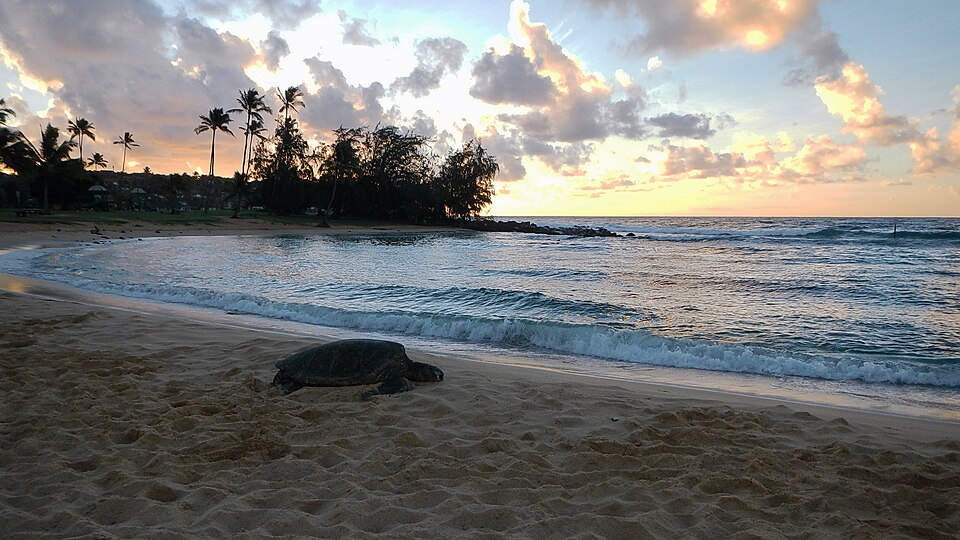 Pacific