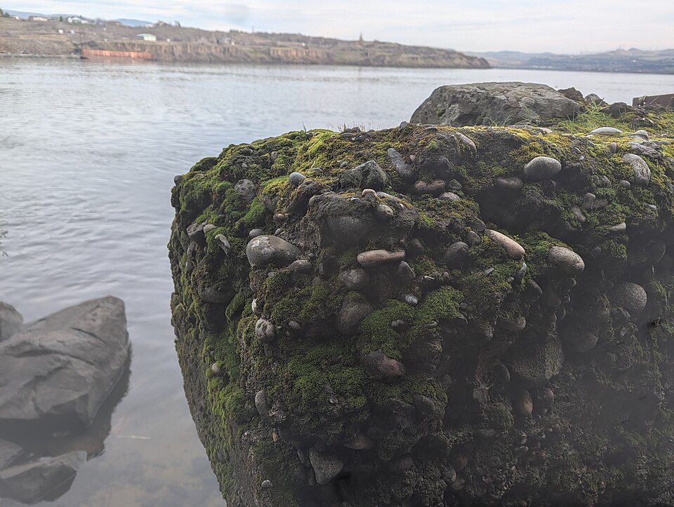 Columbia River at the Dalles, Oregon