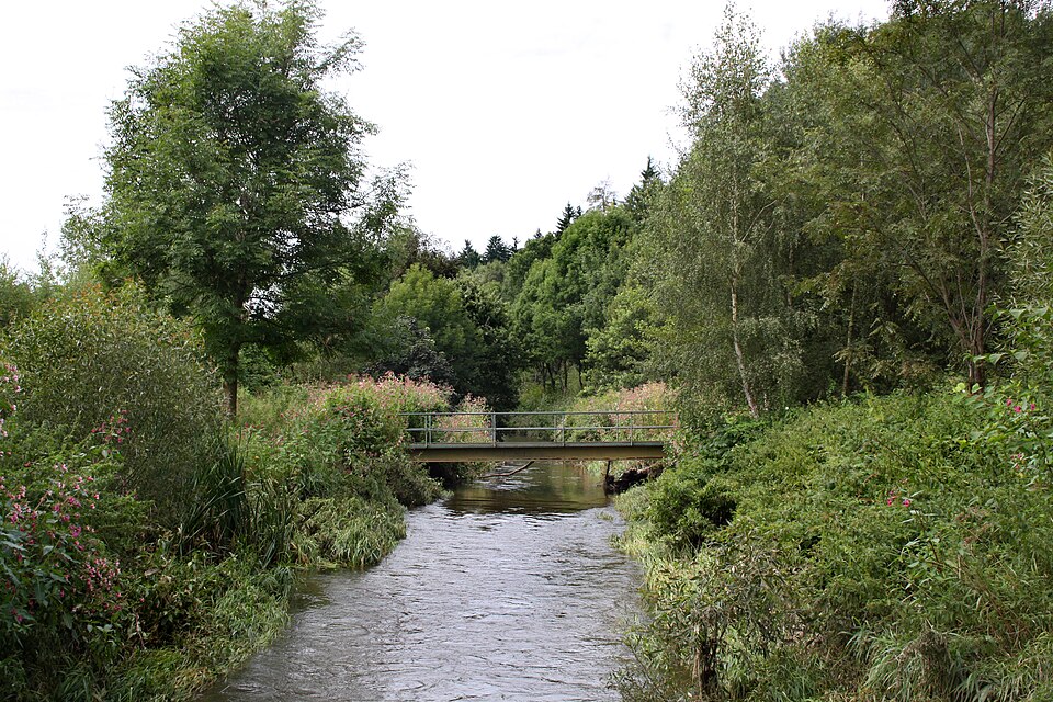 Bělá