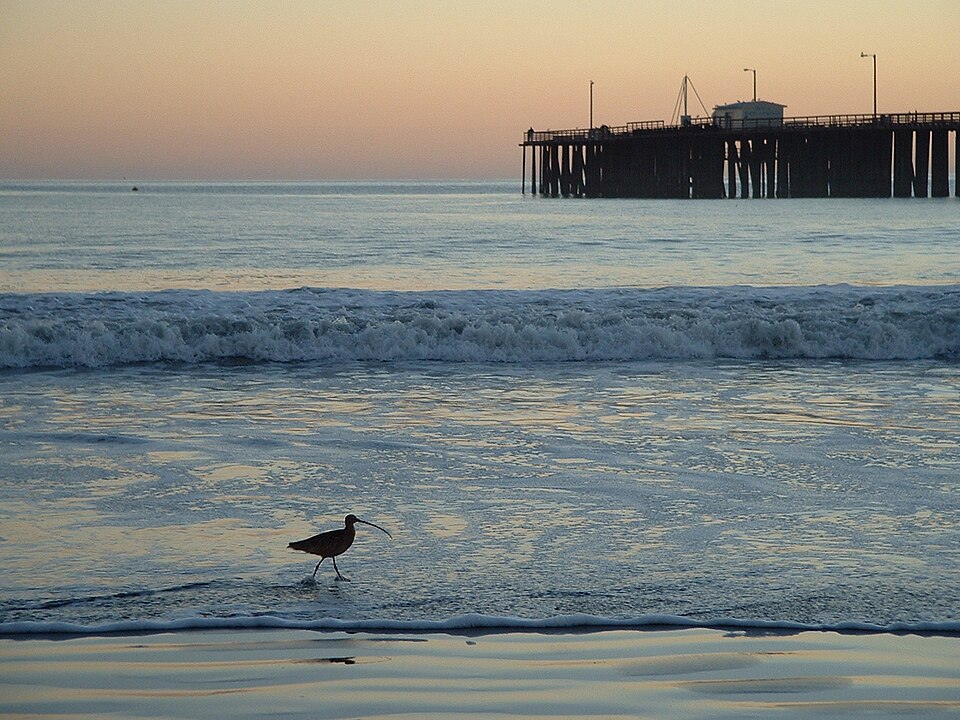 Pacific
