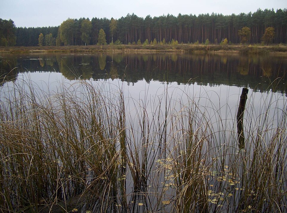 Großer Fürstenseer See