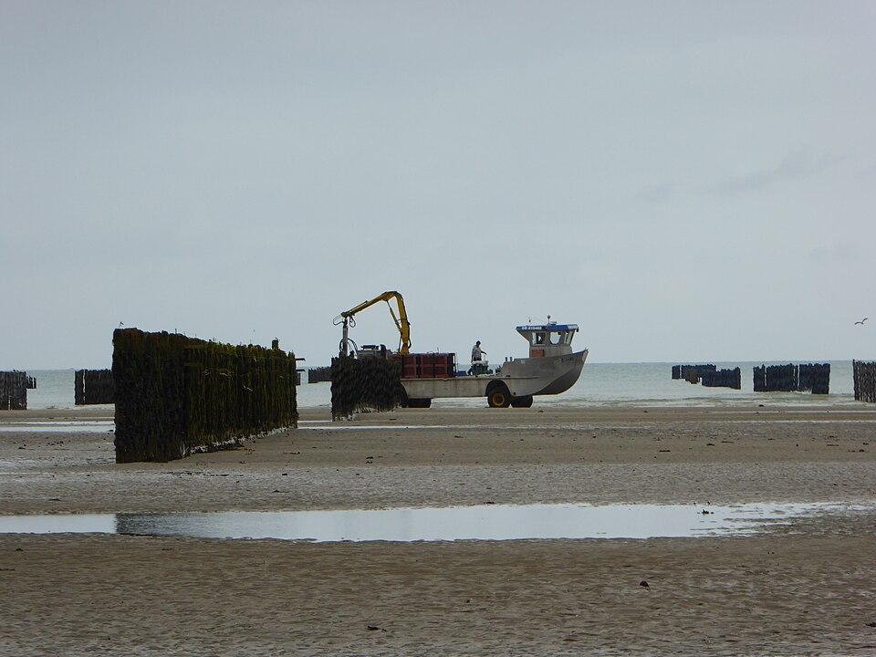 Atlantique