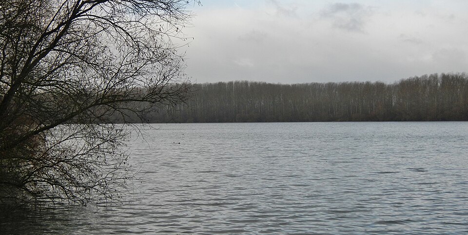Großer Weiher Mechtersheim