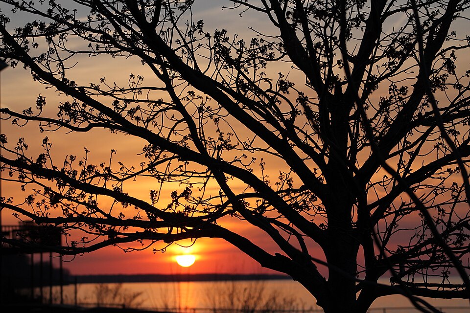 Lake Erie