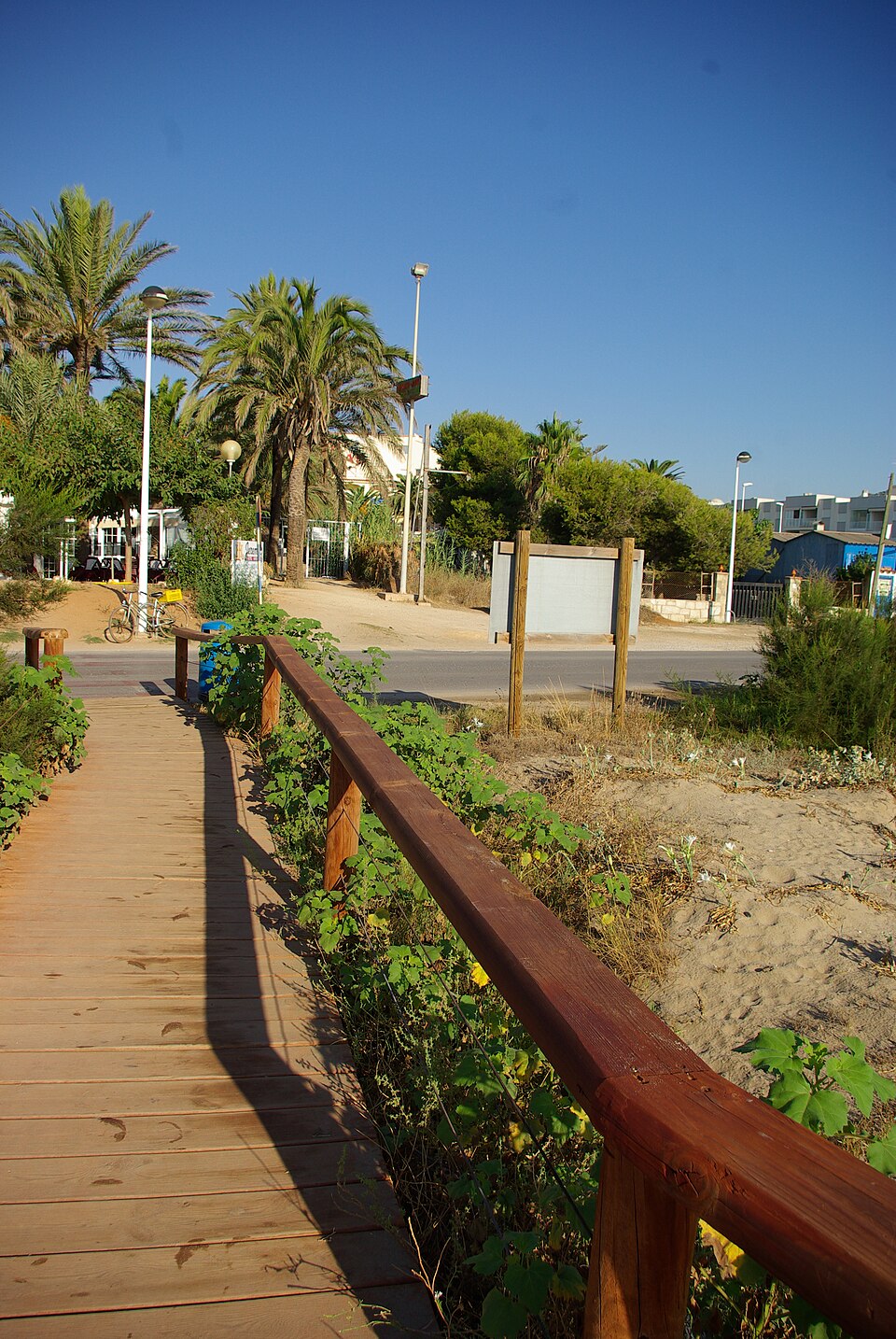 Mediterranean