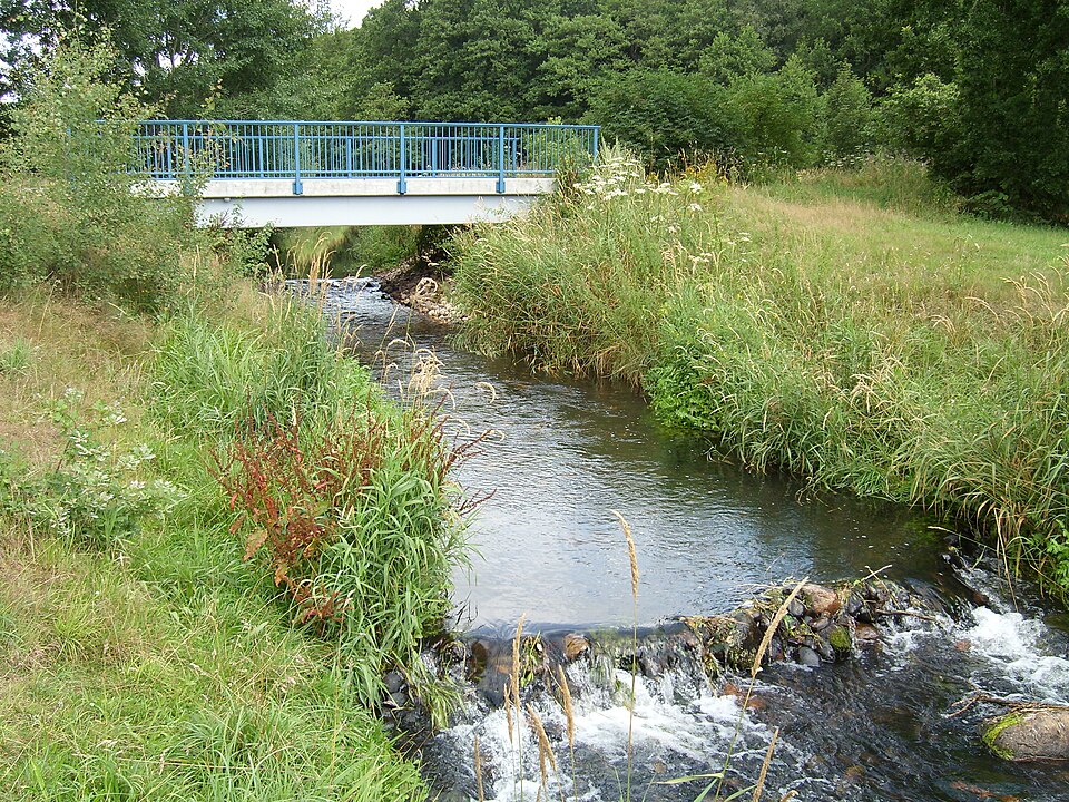 Lohmühlenteich, Hohenlockstedt
