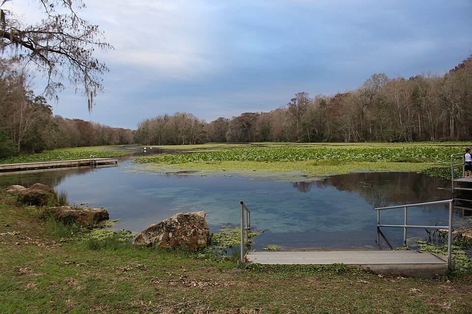 Wacissa River at Thomas Spring near Wacissa, Florida