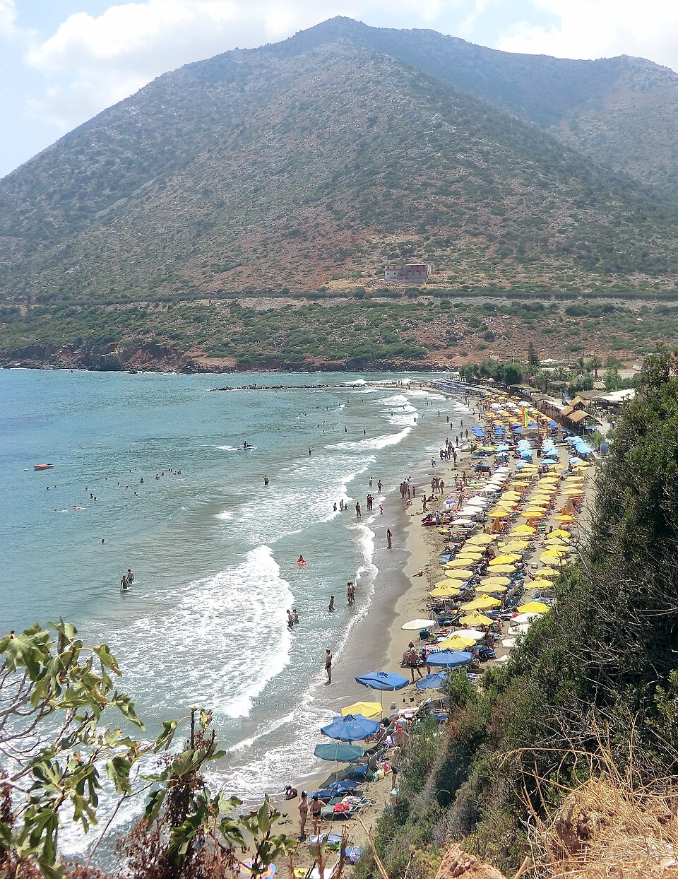 Mediterranean