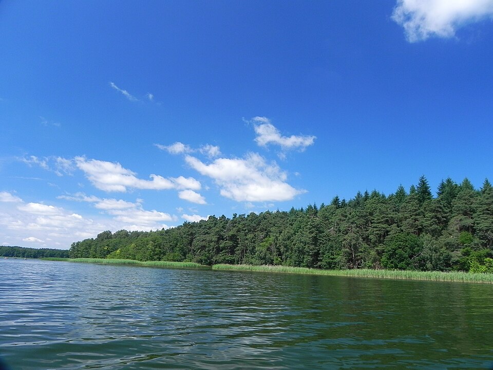 Labussee
