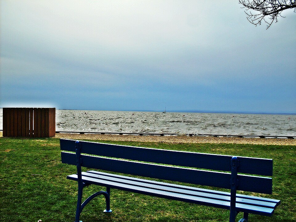 Neusiedlersee, Weiden