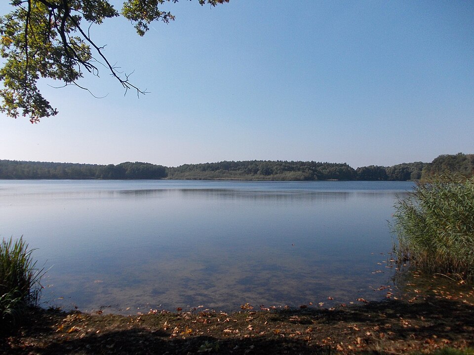 Großer Lausiger Teich