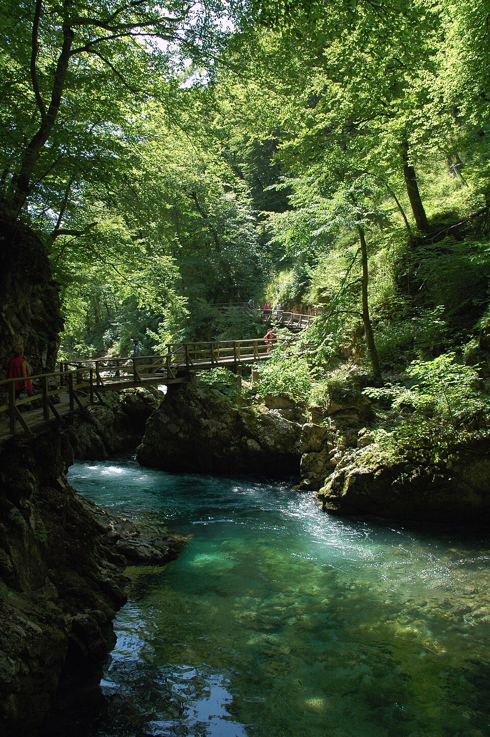 Radovna
