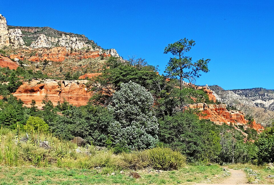 Oak Creek at Slide Rock below SR 89A near Sedona, Arizona
